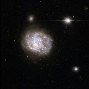 Meet your Posher, Mazzi